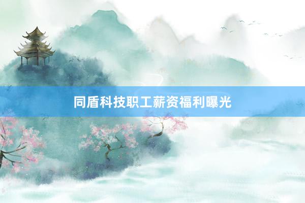 同盾科技职工薪资福利曝光