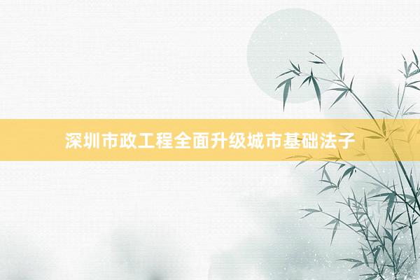 深圳市政工程全面升级城市基础法子