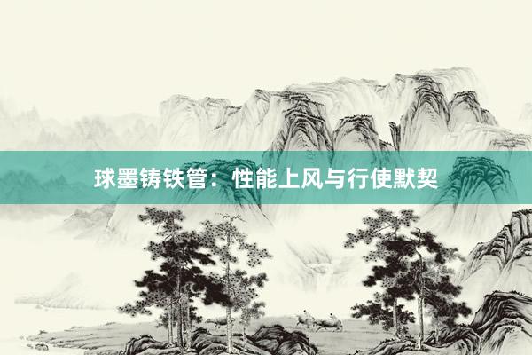 球墨铸铁管：性能上风与行使默契
