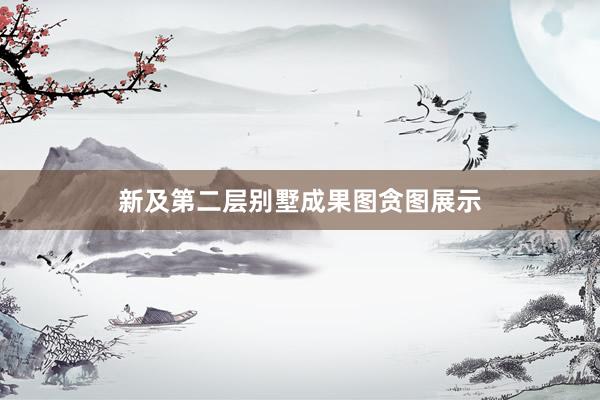 新及第二层别墅成果图贪图展示