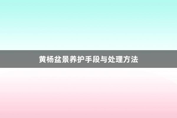 黄杨盆景养护手段与处理方法